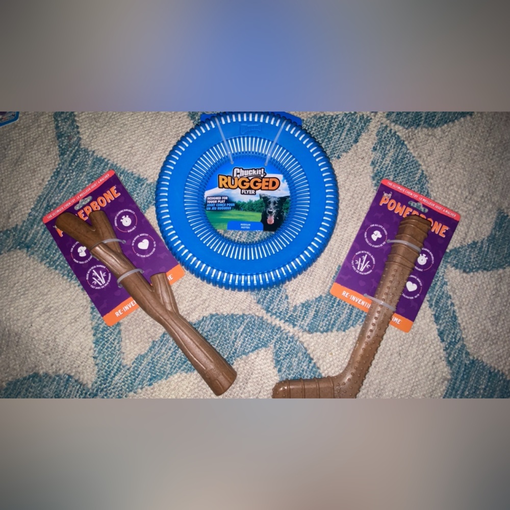 Nerf Dog Rugged Flyer and Chew Toys